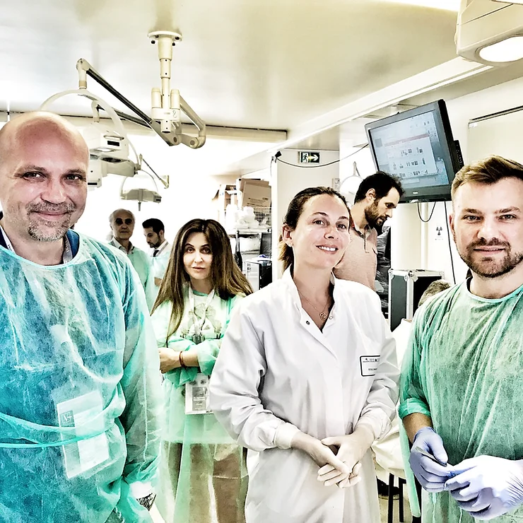 a jak anatomia